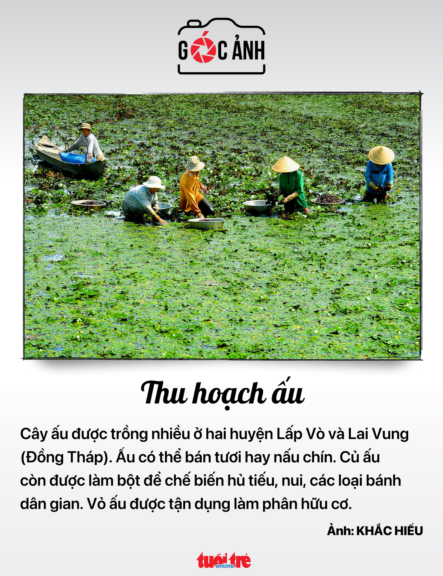 Tin tức sáng 2-7: Du lịch Việt thu 343.000 tỉ đồng; Hà Nội chưa chốt ngày tăng giá nước - Ảnh 11.