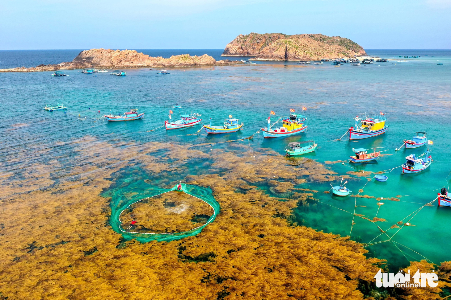 Vẻ đẹp độc đáo và yên bình của làng chài Nhơn Hải (TP Quy Nhơn) vào mùa rong biển chín - Ảnh: HƯƠNG MAI