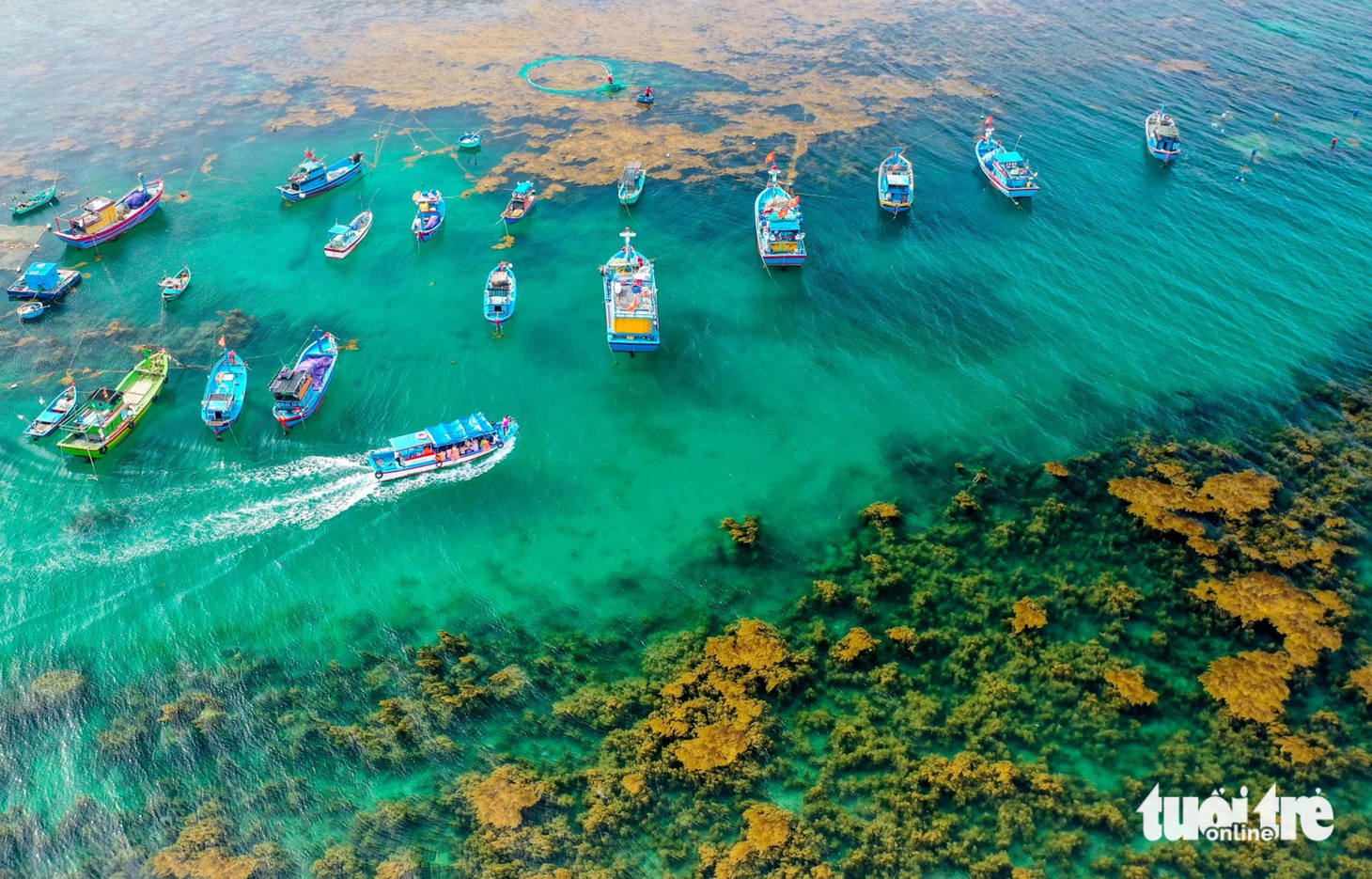 Biển Nhơn Hải trong vắt - Ảnh: HƯƠNG MAI