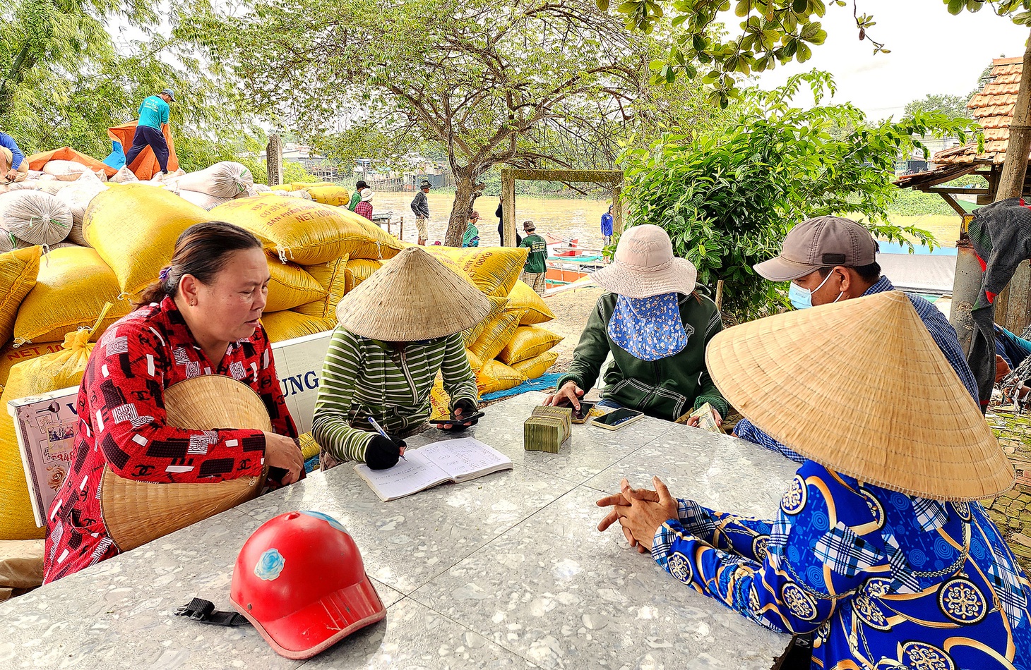 Nông dân huyện Châu Phú (An Giang) nhận tiền mua lúa từ thương lái - Ảnh: BỬU ĐẤU