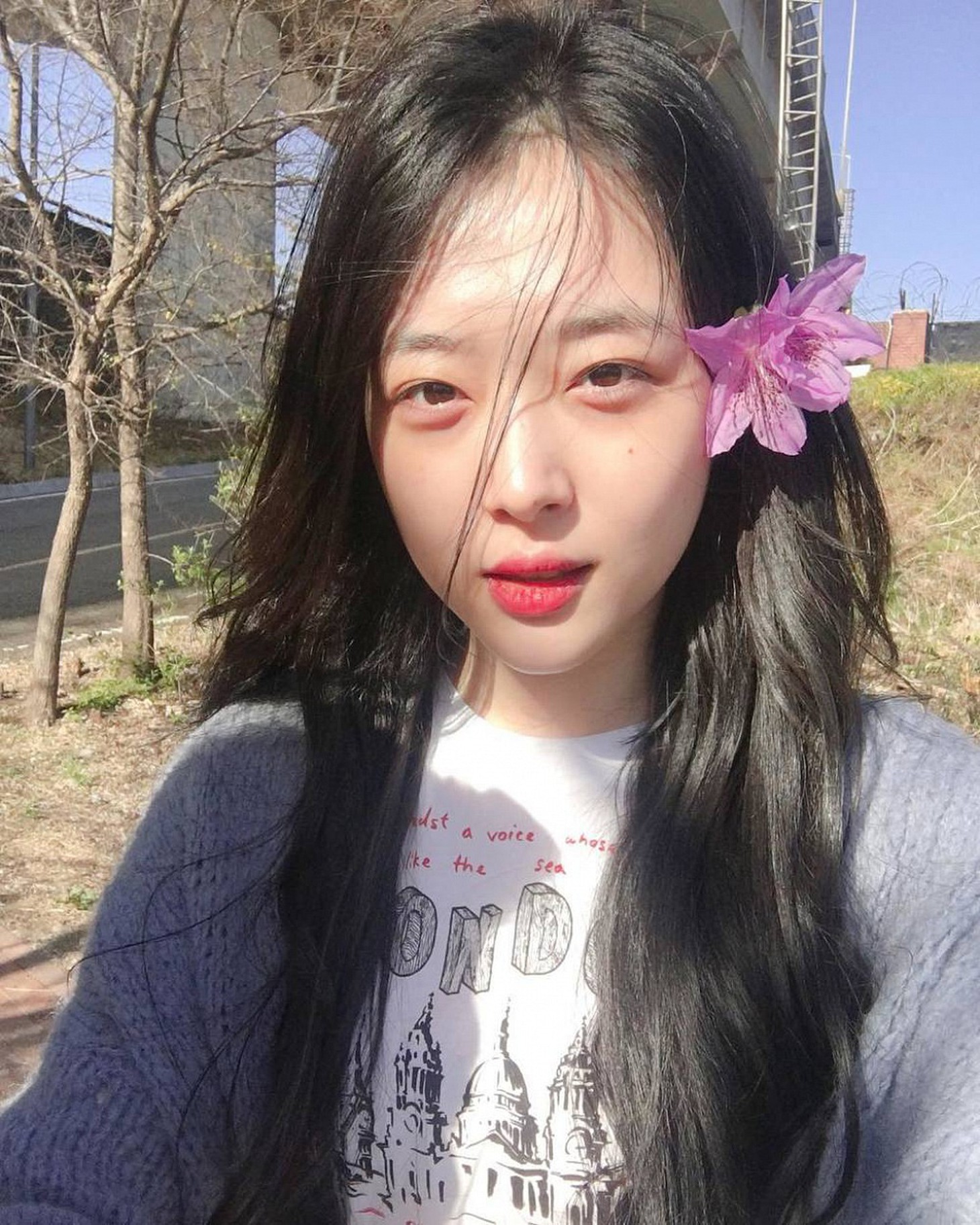 Sulli tự tử vì áp lực dư luận quá lớn - Ảnh: Soompi