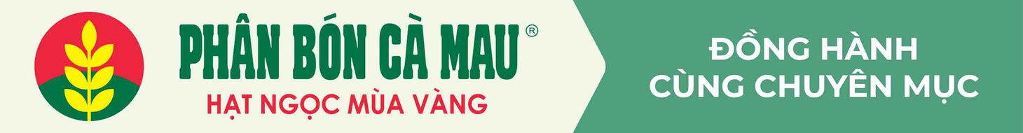 Xuất khẩu rau quả cao kỷ lục, loại trái cây nào chiếm thị phần lớn nhất? - Ảnh 2.