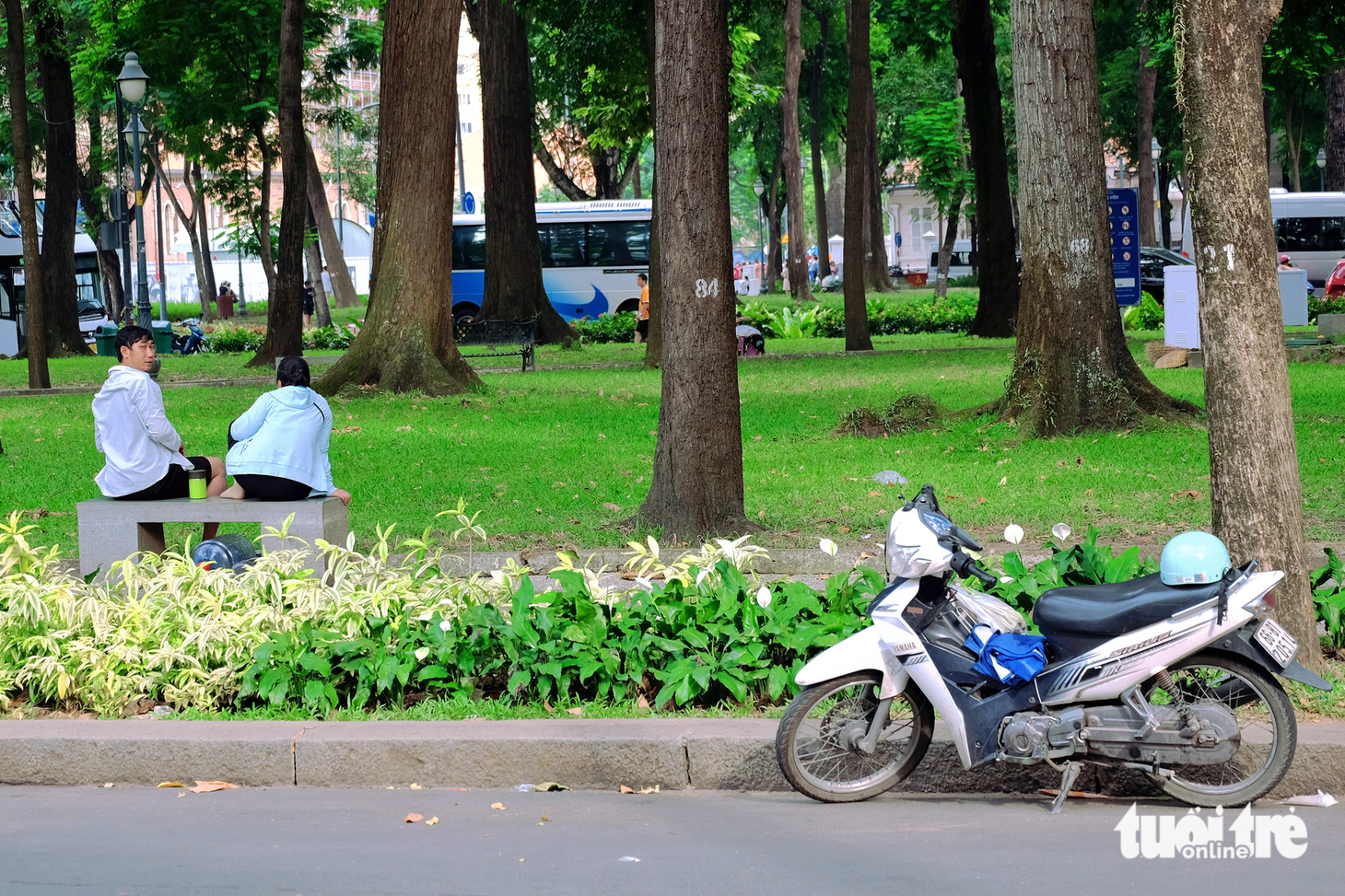 Người đàn ông ngồi hóng mát trong công viên 30 Tháng 4 (quận 1) vẫn không quên quan sát xe mình đậu dưới lòng đường