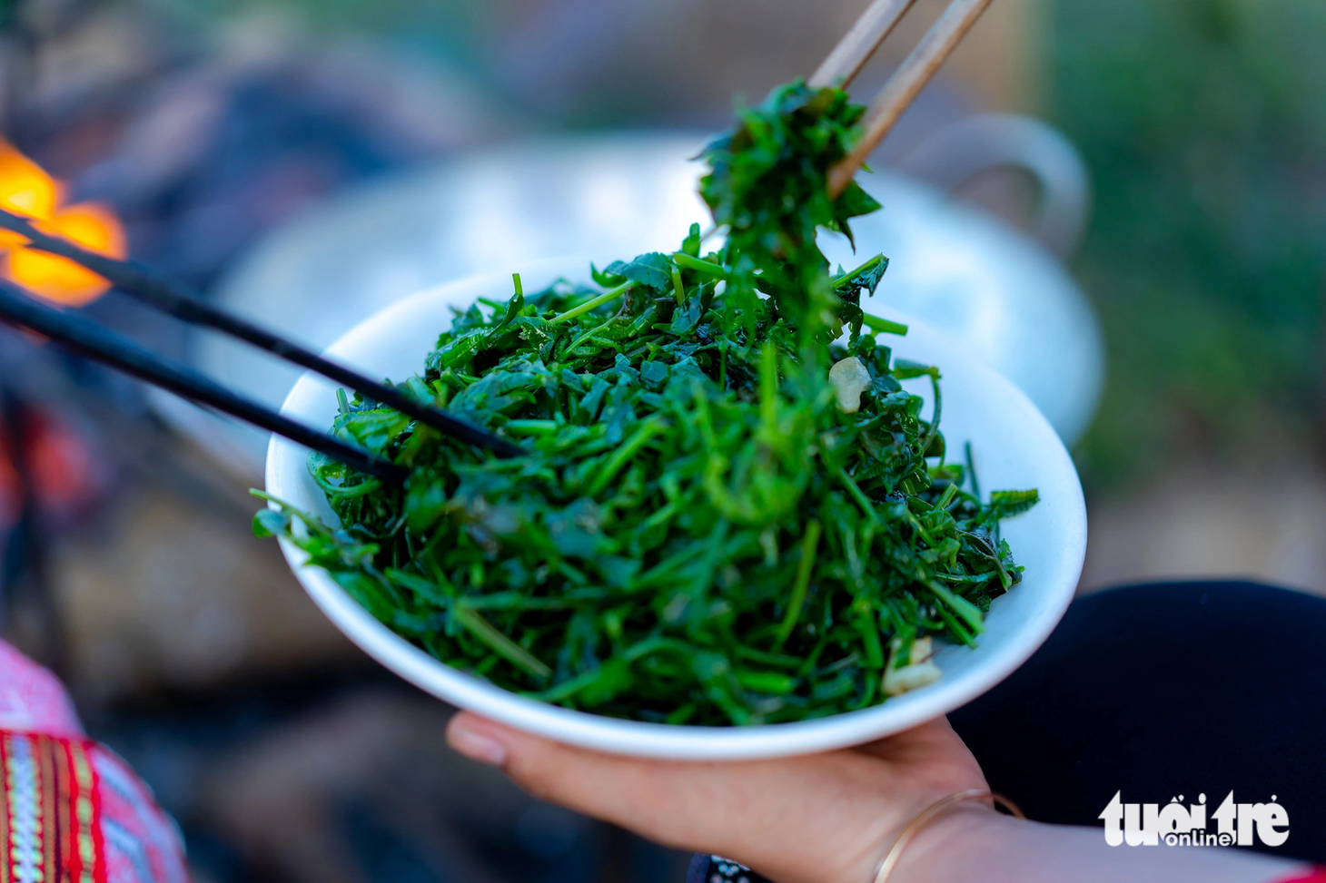 Rau dớn, một trong những món ăn độc đáo ở An Lão - Ảnh: DŨNG NHÂN