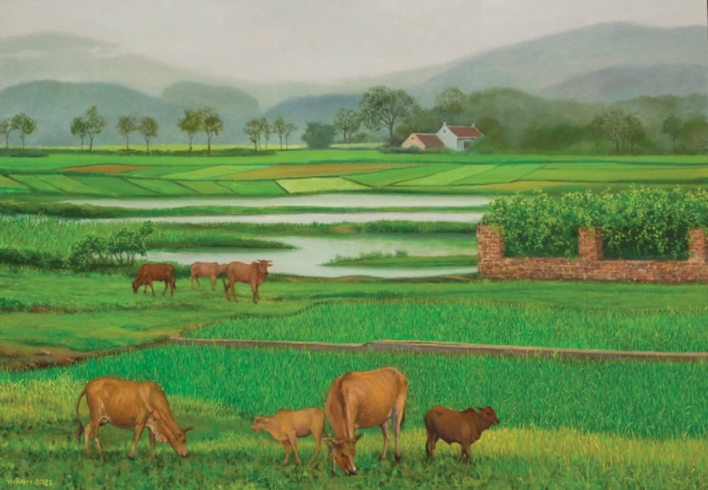 ‘Sống chậm, trong hiện tại’ cùng họa sĩ Nguyễn Minh Thành - Ảnh 6.