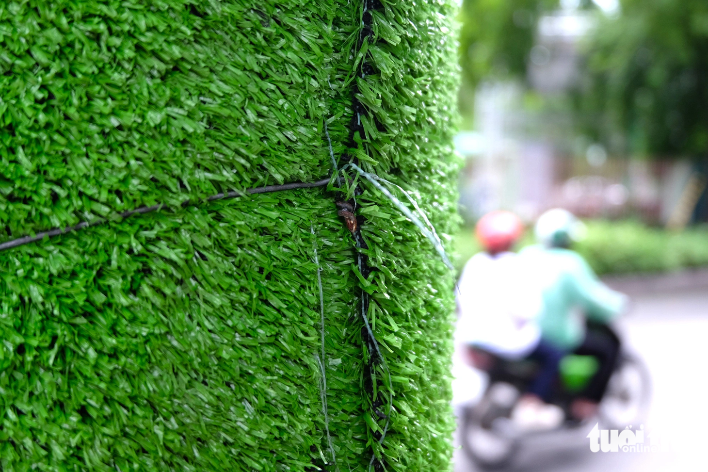 Những thảm cỏ nhân tạo này được cố định quanh các cột đèn, cột điện bằng kẽm tương đối chắc chắn. Người dân cho biết địa phương cũng thường xuyên kiểm tra và thay mới chúng khi có hư hỏng, nhưng thời gian gần đây lại xuất hiện những tờ quảng cáo, rao vặt dán sai quy định