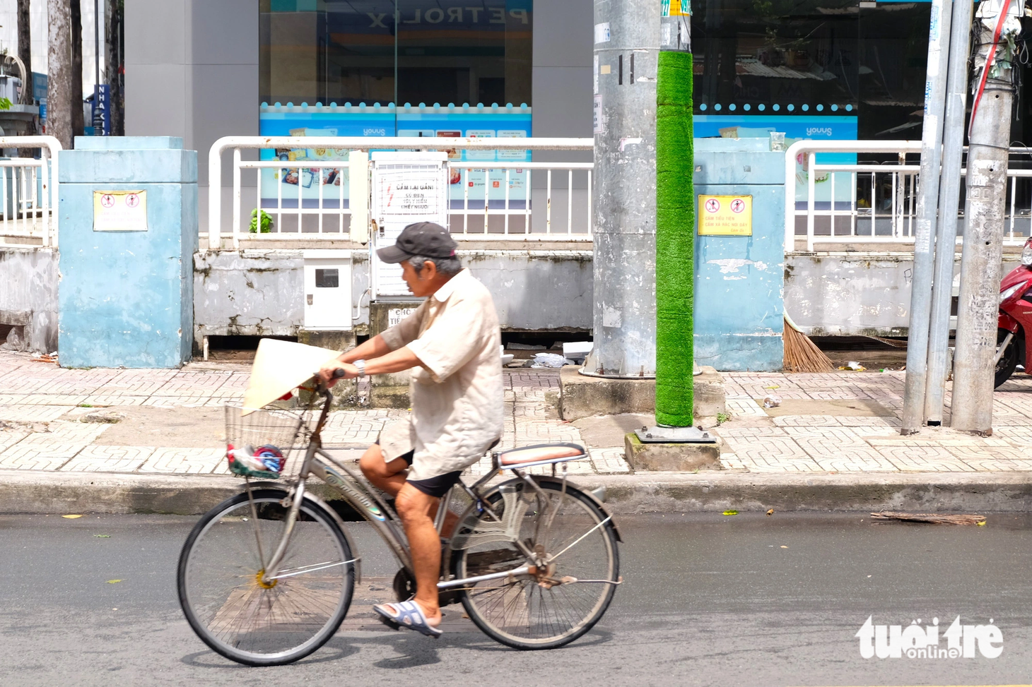 Mỗi thảm cỏ nhân tạo quấn quanh các cột đèn, cột điện dài khoảng 2,5 mét