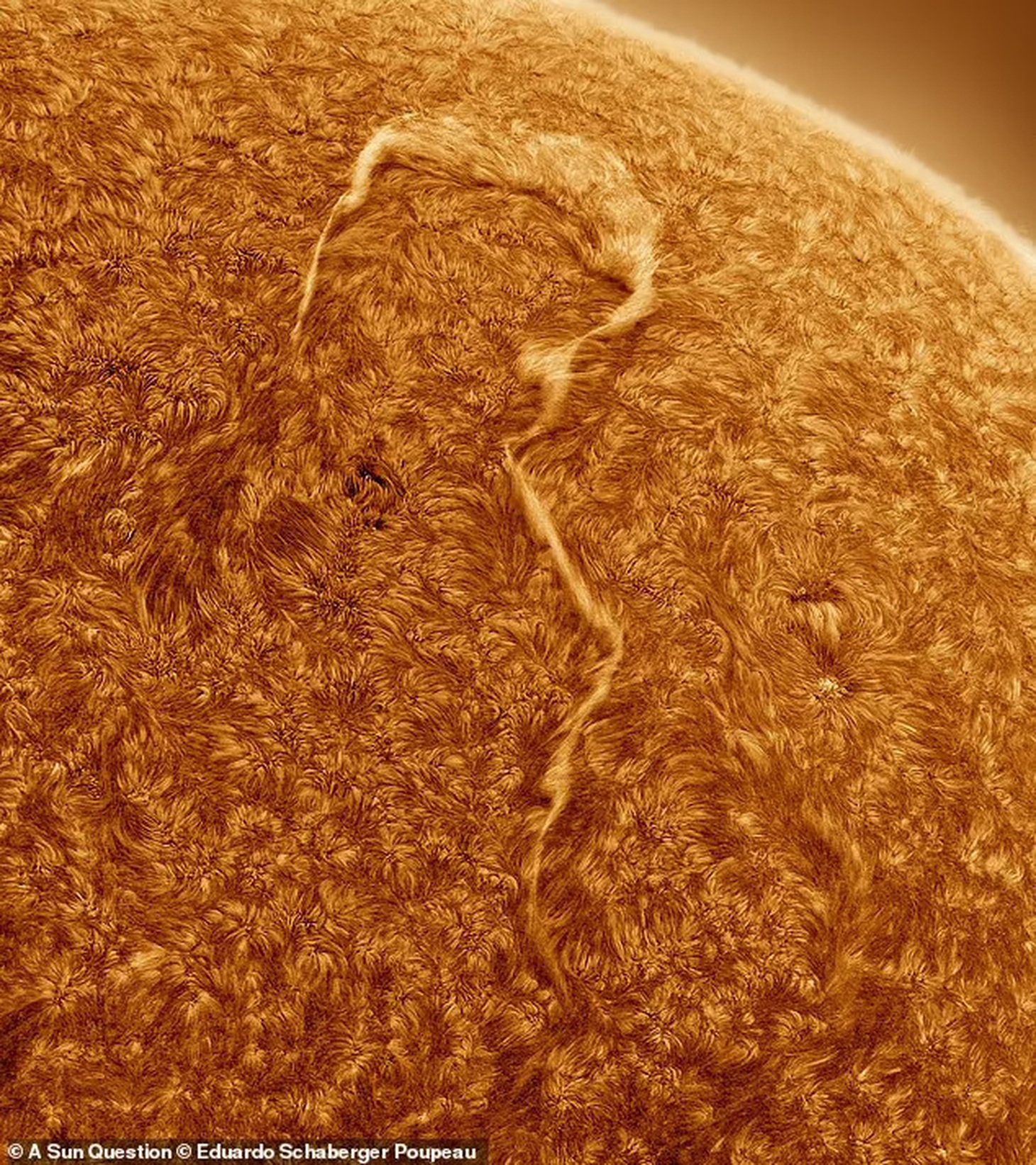 Trong khi đó, bức ảnh "A Sun Question" của nhiếp ảnh gia Eduardo Schaberger Poupeau (-) giành giải nhất ở hạng mục Ảnh chụp Mặt trời. Bức ảnh đã vô tình ghi lại khoảnh khắc những sợi plasma cong lại thành hình dấu chấm hỏi - Ảnh: DAILY MAIL