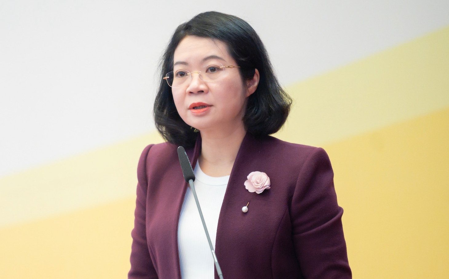 Bà Mai Thị Phương Hoa - Ảnh: GIA HÂN