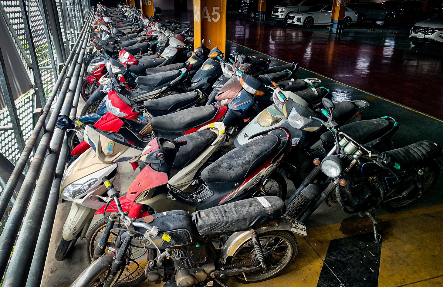 Hàng trăm xe máy "vô chủ" đã chiếm dụng nhiều không gian của nhà để xe sân bay Tân Sơn Nhất - Ảnh: CHÂU TUẤN