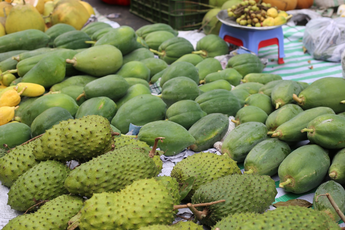 Mâm ngũ quả của người miền Nam thường có: mãng cầu, dừa, đu đủ, xoài, sung, đọc chệch thành “cầu vừa đủ xài”, hàm ý cầu mong sự đủ đầy về tài chính và sung túc trong năm mới - ẢNH: TRÚC QUYÊN