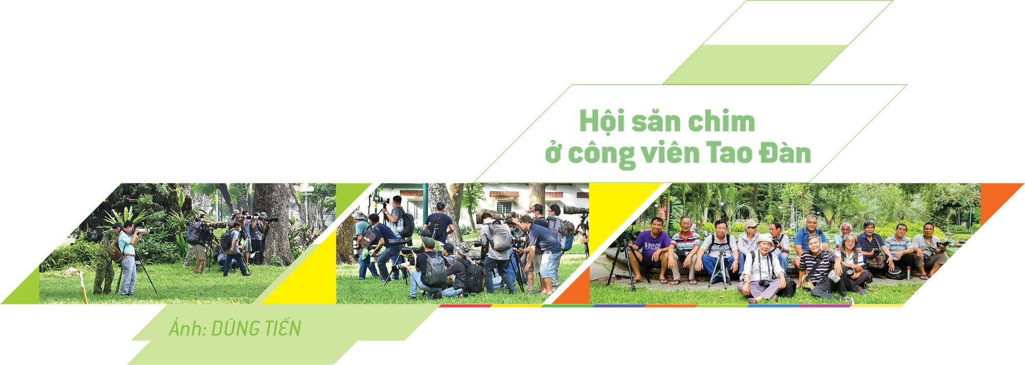 Khi con chim Pitta về đậu vườn Tao Đàn - Ảnh 9.