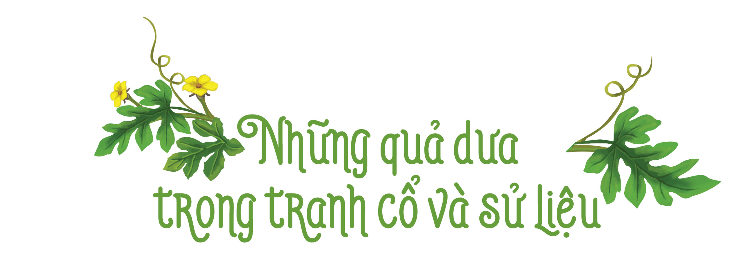 Đi tìm tổ tiên của dưa hấu đỏ ngọt - Ảnh 1.