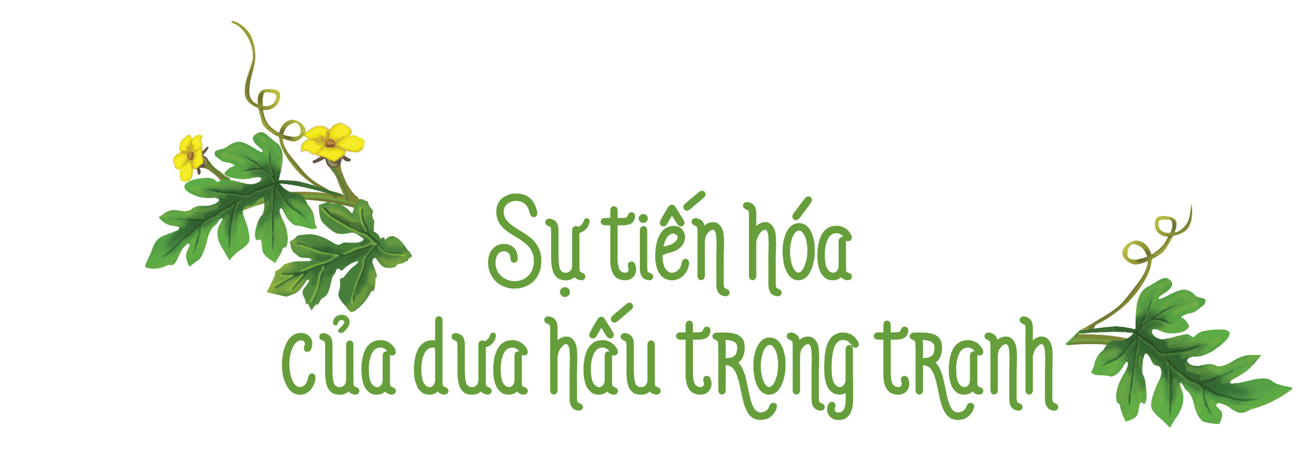 Đi tìm tổ tiên của dưa hấu đỏ ngọt - Ảnh 6.