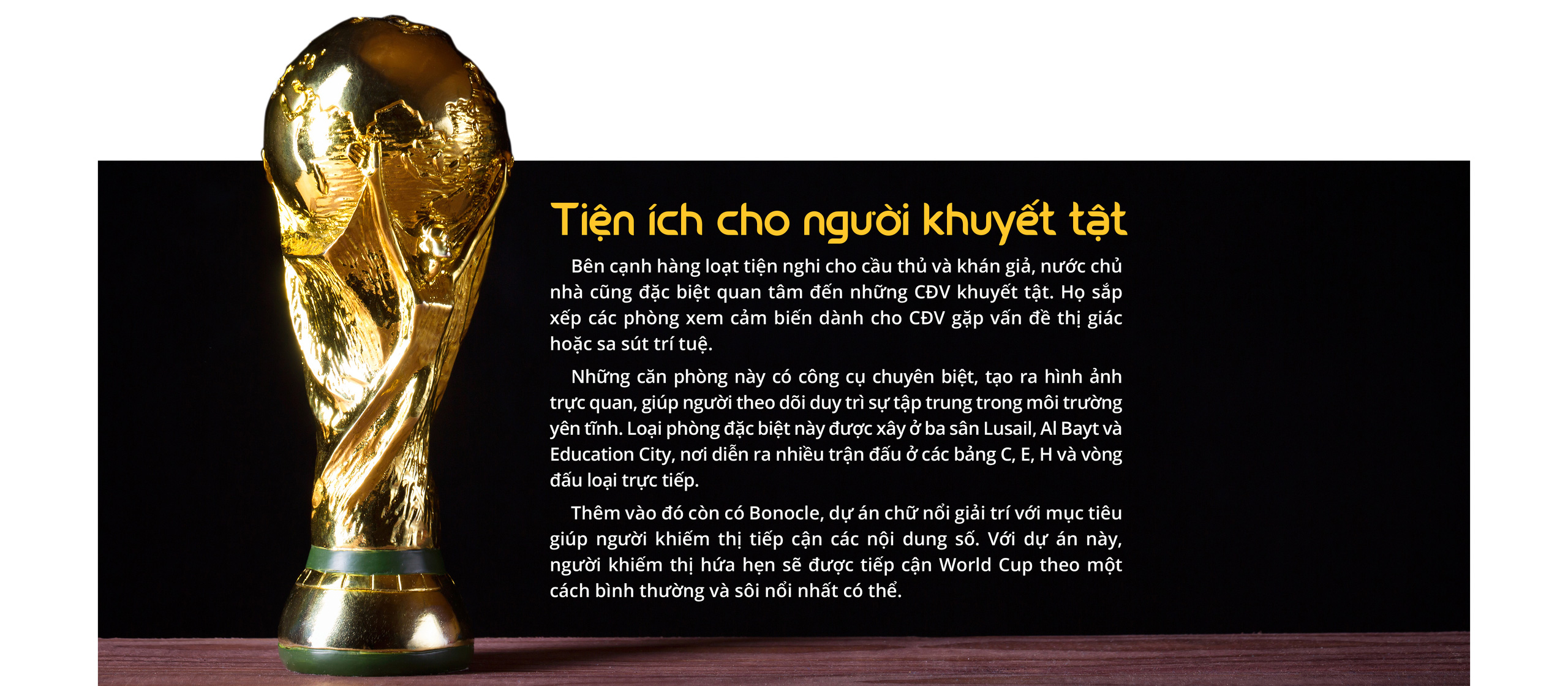 World Cup 2022: Giải vô địch không dành cho thế giới - Ảnh 18.