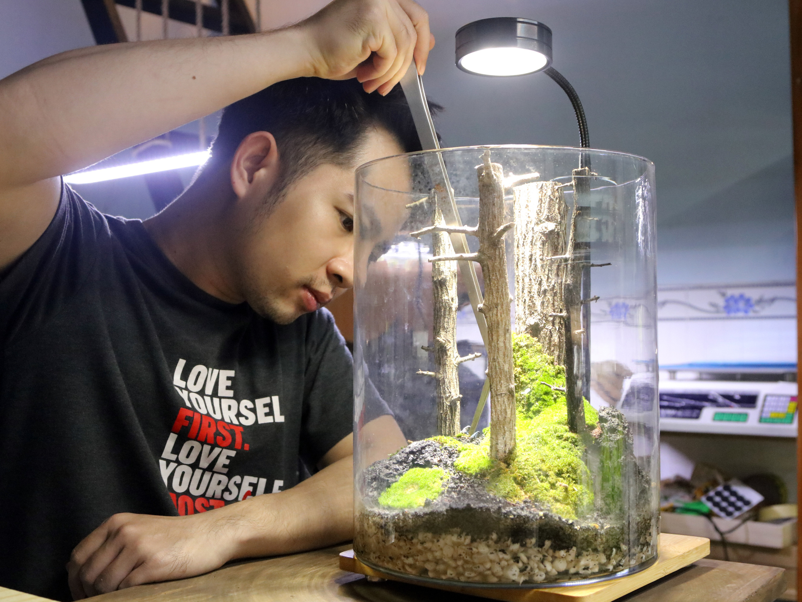 Đem thiên nhiên vào hộp Terrarium - Ảnh 10.