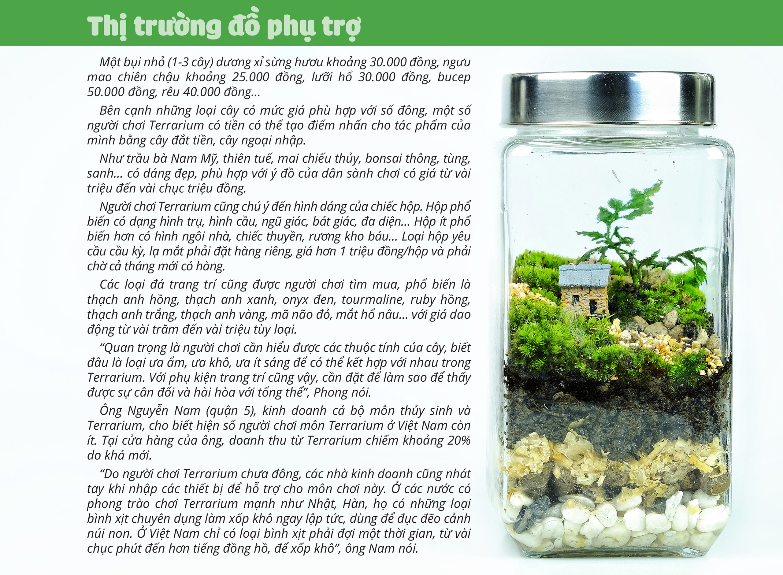 Đem thiên nhiên vào hộp Terrarium - Ảnh 11.