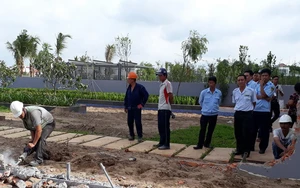 Đề xuất chuyển thanh tra địa bàn về quận, huyện