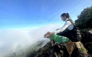 Trekking cùng thú cưng, cô bạn Đắk Lắk chinh phục đỉnh Chư Yang Lak cao 1.634 mét
