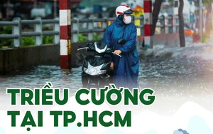 Dân vùng triều cường ngóng công trình chống ngập - Ảnh 3.