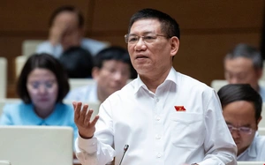 Tin tức sáng 12-11: Tân Tạo nói không có công ty nào dám kiểm toán cho họ - Ảnh 3.