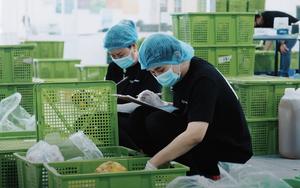 Người Nhật mở công ty cung cấp thực phẩm ở Việt  Nam huy động gần 8 triệu USD - Ảnh 3.