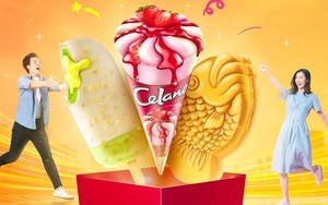 Hàng loạt cổ đông KIDO không thông qua giao dịch bán cổ phần Kido Foods - Ảnh 3.