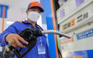 Bình quân mỗi ngày PV OIL thu về hơn 358 tỉ đồng - Ảnh 4.