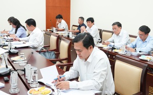 1.000 nhà đất công bỏ trống, giám đốc Sở Tài chính TP.HCM nói 'sắp có đề án quản lý hiệu quả' - Ảnh 2.