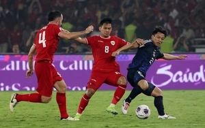 FIFA công nhận ASEAN Cup là giải đấu chính thức - Ảnh 3.