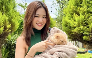 Diễn viên Thùy Anh bị cắt vai và chuyện bất thường sản xuất phim truyền hình Việt - Ảnh 8.