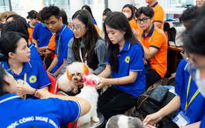 Ngày hội Chăm sóc sức khỏe thú cưng: Hoành tráng, quy mô, đa dịch vụ dành cho pet cưng
