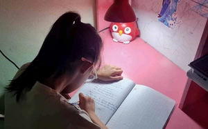 Wang An Nam giành quán quân cuộc thi Tìm kiếm đại sứ văn hóa Việt Nam quốc tế   - Ảnh 3.