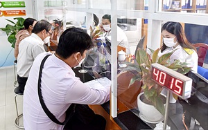 Chủ hộ kinh doanh cũng có thể bị tạm hoãn xuất cảnh nếu nợ thuế - Ảnh 2.