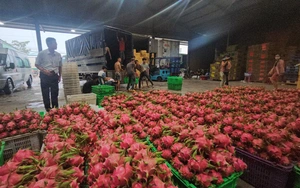 Rửa trái cây và rau củ cách nào để loại bỏ thuốc trừ sâu? - Ảnh 2.
