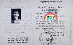 Các trường đại học sẽ sớm thu hồi bằng đại học, tiến sĩ của ông Vương Tấn Việt - Ảnh 3.