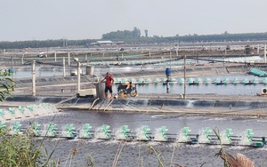 Các địa phương tận dụng lễ hội ra sao hay chỉ là đến hẹn lại lên?- Ảnh 2.