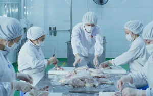 Đưa món ăn Việt lên kệ xứ cờ hoa - Ảnh 2.