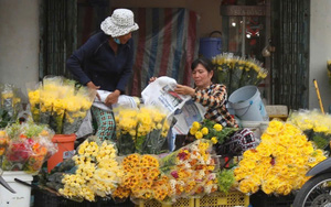 Mong về đi chợ Tết quê!