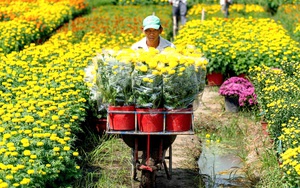 Tết hài hòa - Ảnh 4.