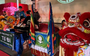 Cửa sổ mùa xuân - Ảnh 4.