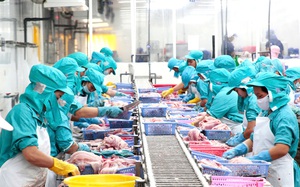Bóc tách giá trị gia tăng, lập hiệp hội kiểu AmCham để mở rộng thị trường Mỹ - Ảnh 3.