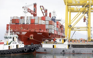 Bóc tách giá trị gia tăng, lập hiệp hội kiểu AmCham để mở rộng thị trường Mỹ - Ảnh 2.