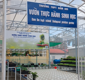 Vườn được xây dựng ngay trong trường, học sinh tha hồ trải nghiệm "trồng cây, nuôi cá"