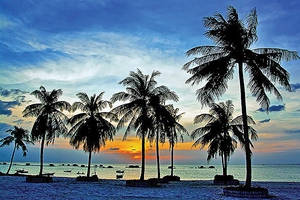 Ra Phú Quốc thử nấm tràm