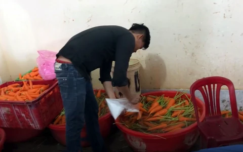 Rửa thực phẩm bằng hóa chất: Phải ra tòa - Tuổi Trẻ Online