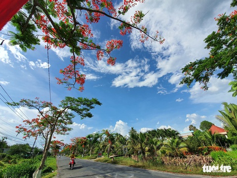 Những địa điểm chụp ảnh với hoa phượng đẹp ở Miền Bắc việt Nam