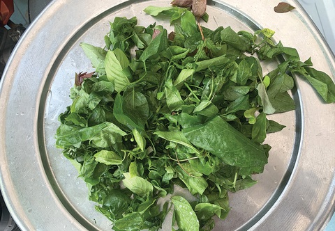 Rau rừng Cù Lao Chàm, nấu cua ăn cạn nồi cơm - Tuổi Trẻ Online