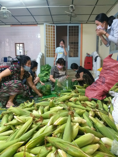 Cây Táo Gai Sóc Trăng: Hướng Dẫn Trồng Và Chăm Sóc Hiệu Quả