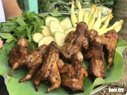 Giới thiệu đặc sản chuột dừa Bến Tre Hương vị độc đáo của miền Tây Nam Bộ